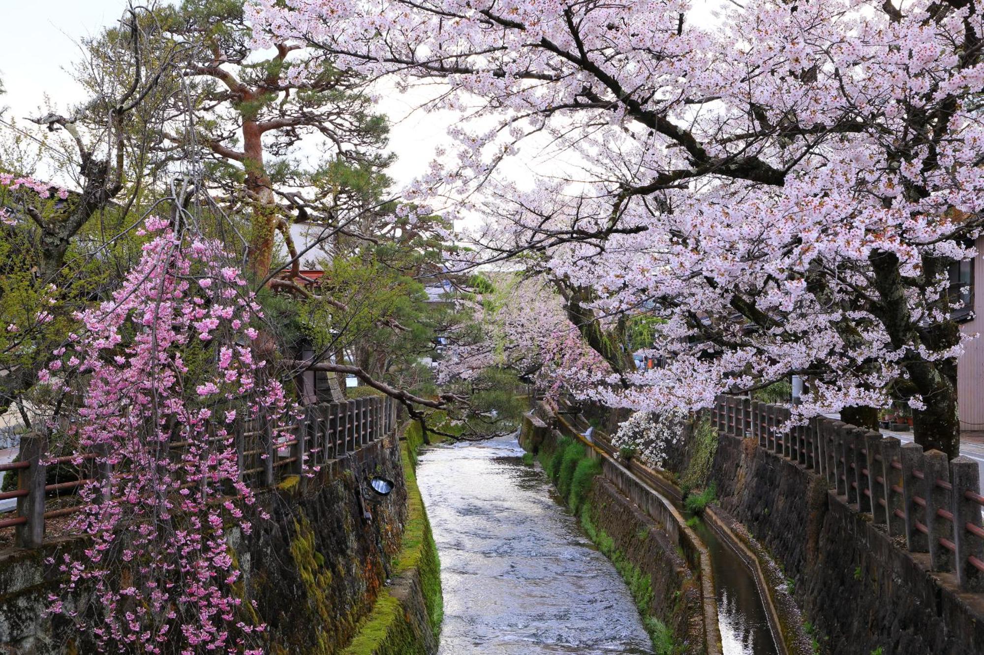 Rikka Fukiya Apartamento Takayama  Exterior foto